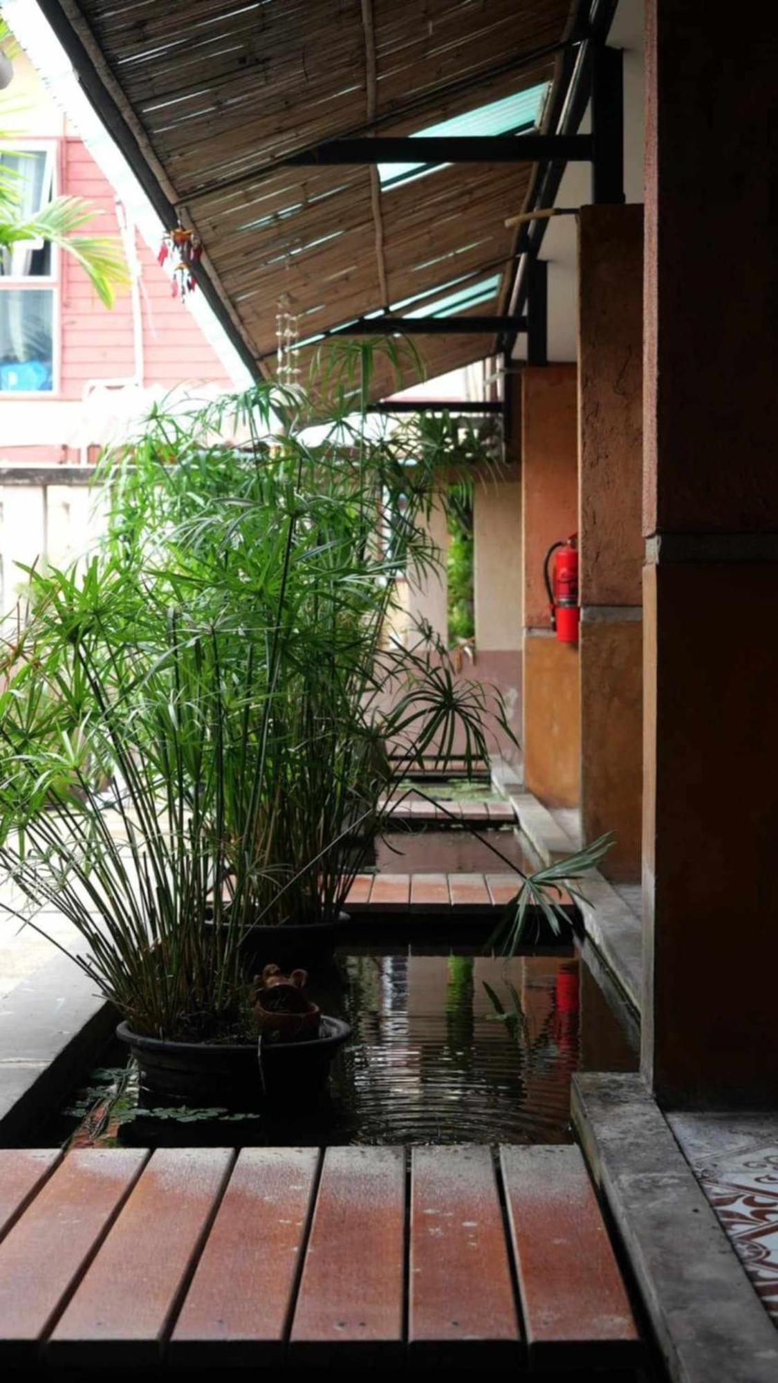 Koko Palm Inn Chiang Mai Buitenkant foto
