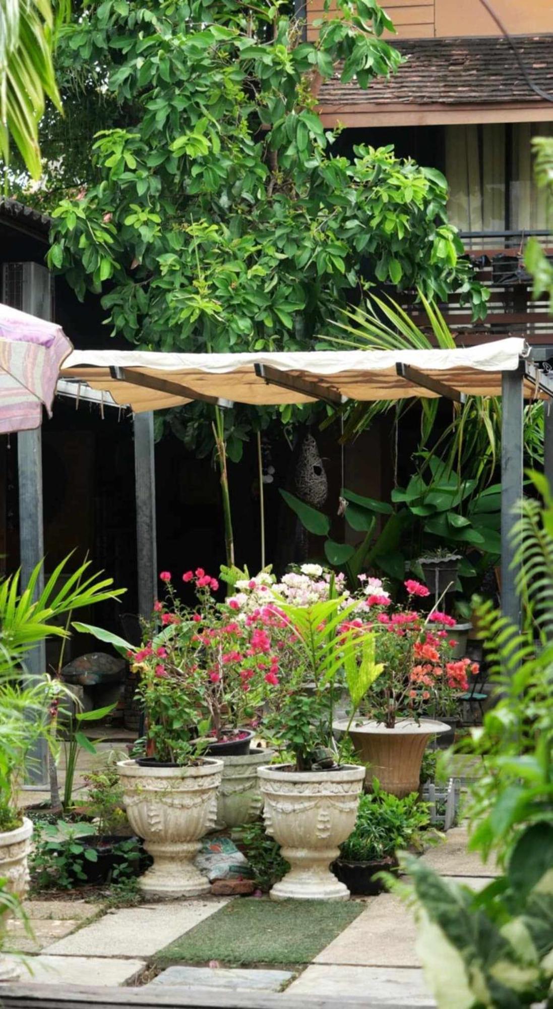 Koko Palm Inn Chiang Mai Buitenkant foto